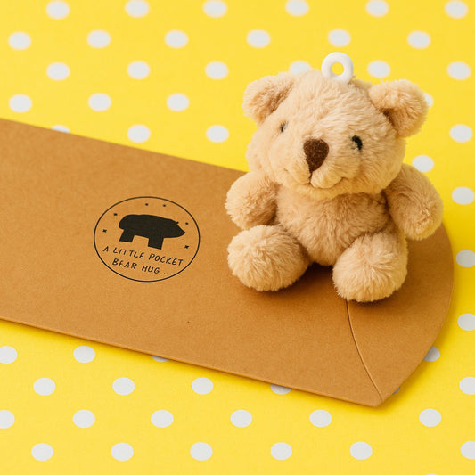 A Little Plush Pocket "Bear Hug"