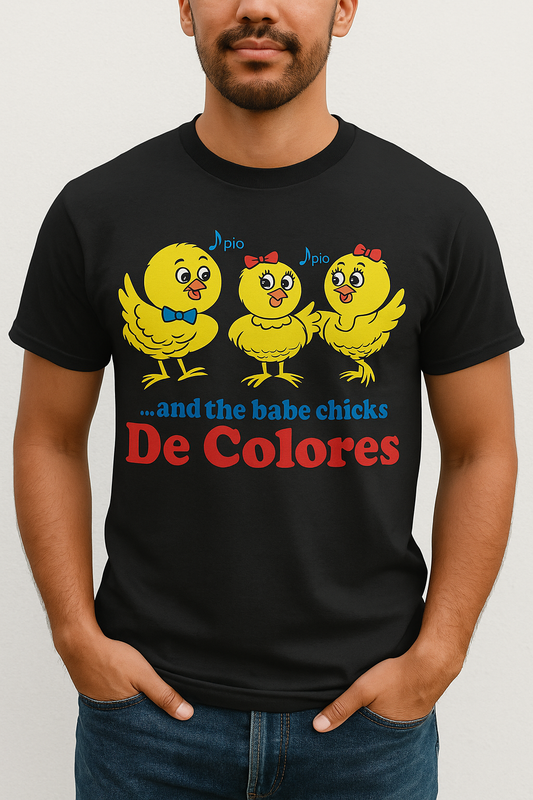 "And the Babe Chicks" Throwback De Colores Christian T-shirt/Sweatshirt
