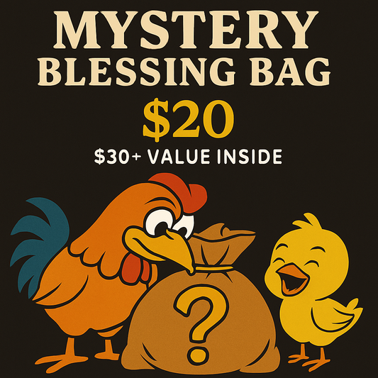 🎁 Mystery Blessing Bag 🎉